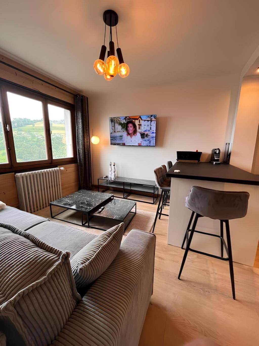 Vue Mont Blanc, Ski Et Village Combloux Exterior foto